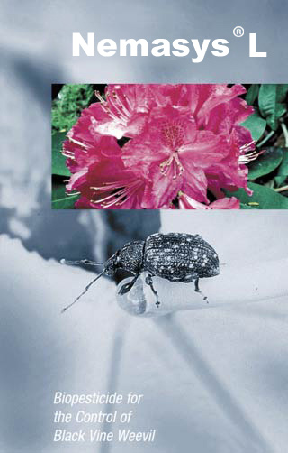 Cover Brosch&uuml;re