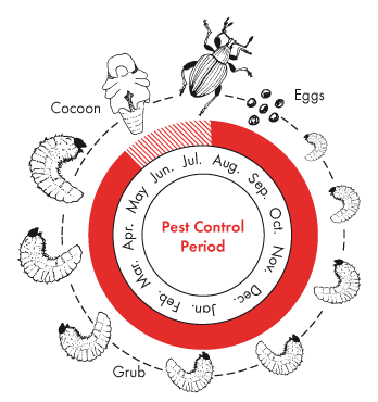 Pest Control Period